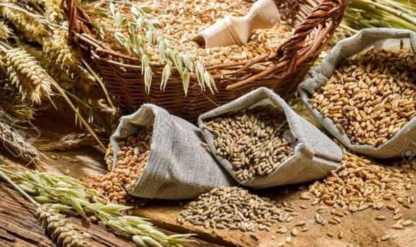 أوكرانيا تعلن استئناف عمليات تصدير الحبوب من موانيها