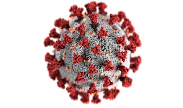 فيروس كوفيد – 19 الشديد يتسبب في التهابات صامتة بالدماغ