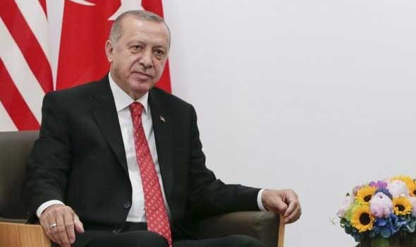 أردوغان ناقش مع زيلينسكي إرسال الحبوب إلى دول أفريقية