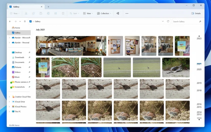 معاينة Windows 11 تحضر معرض الصور إلى File Explorer